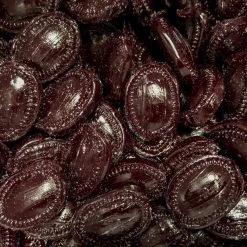 Joy's De'Lights Nostalgic Aniseed Cough Ovals