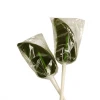 Joy's De'Lights Jalapeno Chile Lollipop