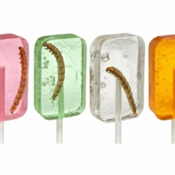 Joy's De'Lights Worm Sucker Lollipop